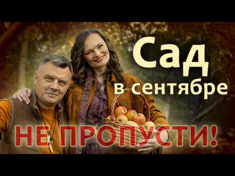 Видео: ОСЕНЬЮ Одна ложка под куст Две под дерево и Сад будет ломиться от урожая