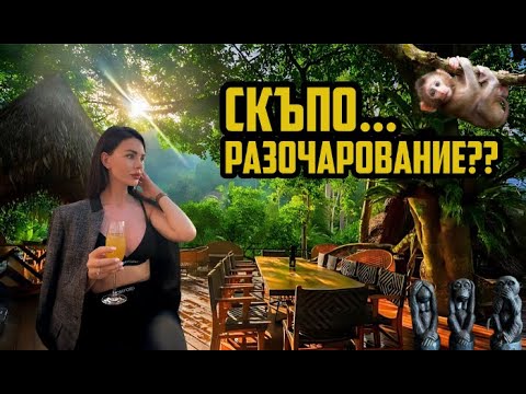 Видео: 🇹🇭 #11 | РЕСТОРАНТ В ДЖУНГЛАТА!?