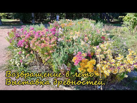 Видео: Возвращение в лето. Выставка древностей.