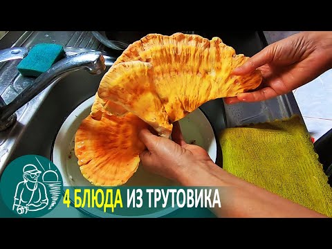 Видео: 🍄 4 блюда из трутовика серно-желтого и заморозка 🍳 Вкусные рецепты Гордеевых