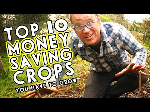 Видео: Если бы я мог выращивать только 10 культур, я бы выбрал эти...
