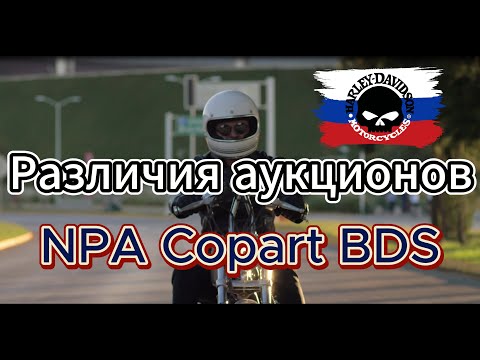 Видео: Различия аукционов NPA, Copart, BDS: Гайд по покупке мотоциклов из США и Японии.