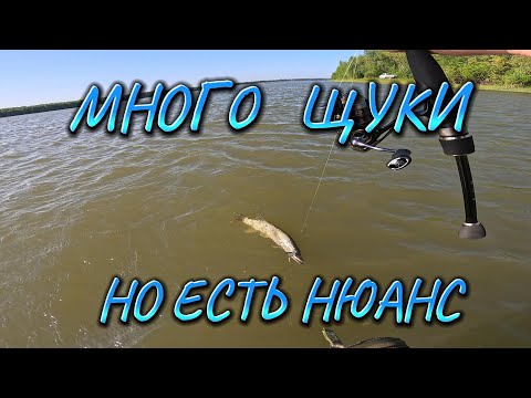 Видео: РЫБАЛКА НА ОБИ. Пойдем поговорим.