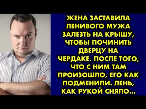 Видео: Жена заставила ленивого мужа залезть на крышу, чтобы починить дверцу на чердаке. После того, что с