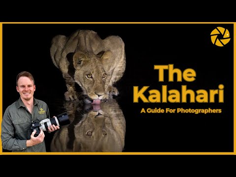 Видео: Калахари | Руководство для фотографов
