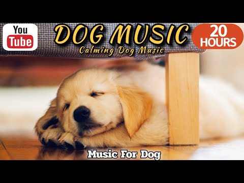 Видео: 20 часов любимой музыки собак🐶💖Музыка для сна собак 🐶🎵 Музыка для снятия беспокойства при разлуке🎵