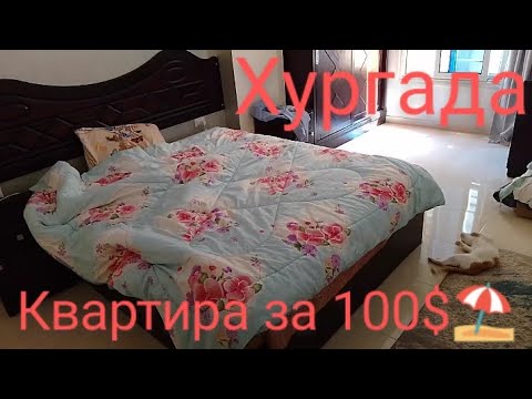 Видео: Квартира за 100$ в Хургаде Мадерас