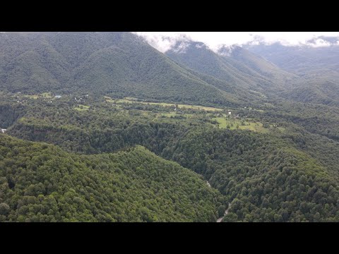 Видео: псху ч 2