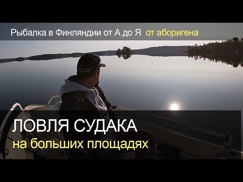 Видео: Ловля судака на больших площадях. Джиг. Рыбалка в Финляндии