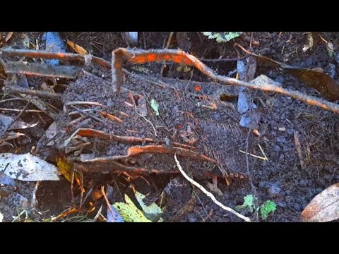 Видео: ОГРОМНЫЙ МЕДНЫЙ РАДИАТОР ОТ КОМБАЙНА.СБРОС МЕТАЛЛА НА КОЛХОЗНОЙ ПЛОТИНЕ.СКОРО МЕТАЛЛОКОП 2024!!!