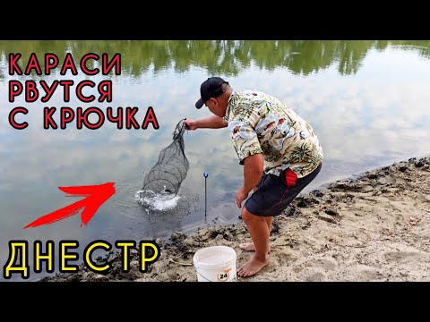 Видео: Караси ломают крючки!!! Ловля Карася и Плотвы на Днестре летом!