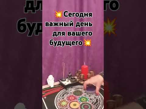 Видео: #Толи ещё будет❗💥