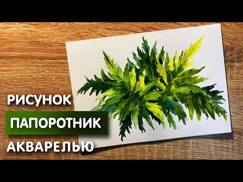 Видео: Как нарисовать папоротник карандашом и акварелью начинающим | Рисунок для детей