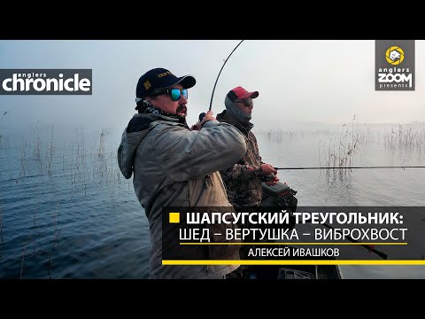 Видео: Шапсугский треугольник: шед – вертушка – виброхвост. Алексей Ивашков. Anglers Chronicle