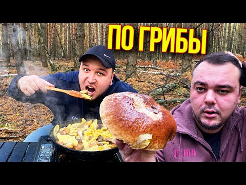 Видео: ВЫБРАЛИСЬ В ЛЕС ПО ГРИБЫ ПОПЫТКА 2/ ЖАРИМ КАРТОШКУ 