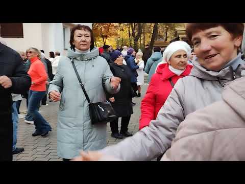 Видео: 26.10.2025.🏵️🤗Лилии.В Гомельском парке.