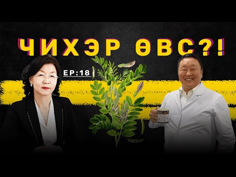 Видео: 🔍 ШУ-ны хялбаршуулсан нийтлэл Ep: 18 Чихэр өвс - | Физикийн ухааны доктор, Н.Тэгшбаяр