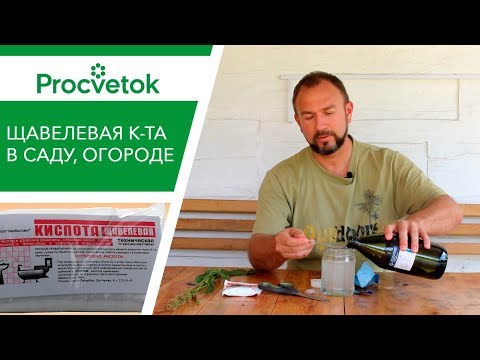 Видео: Повысить урожай, уничтожить проволочника, майского жука и отпугнуть медведку. Легко!