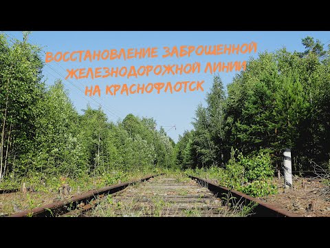 Видео: КАК ЭНТУЗИАСТЫ ВОССТАНАВЛИВАЮТ ЗАБРОШЕННУЮ ЖД ЛИНИЮ