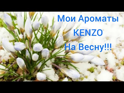 Видео: Распаковка Нового Аромата!!!💥Мои Ароматы Kenzo На Весну-Лето!!!💥
