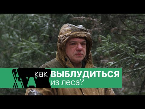 Видео: Как не заблудиться в лесу