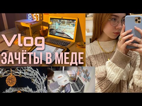 Видео: готовлюсь к зачётам | как проходит сессия в меде? | влог