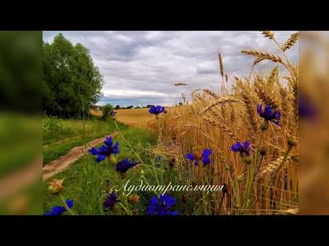 Видео: 2025  -  09  -   14  Утро