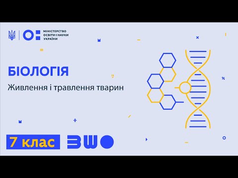 Видео: 7 клас. Біологія. Живлення і травлення тварин