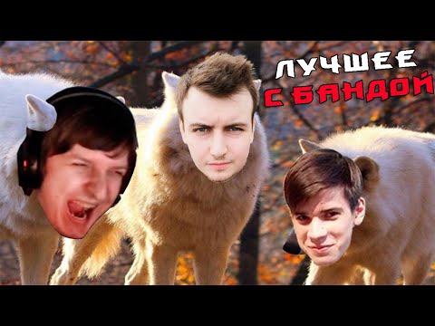 Видео: Лучший друг Шустрилы / ЛУЧШЕЕ С БАНДОЙ No. 132