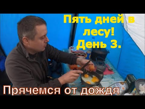 Видео: Поход в лес. Ночевка в палатках 5 дней. день 3