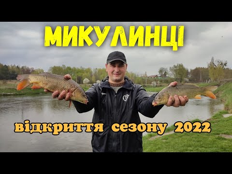 Видео: РИБАЛКА В МИКУЛИНЦЯХ \ ВІДКРИТТЯ СЕЗОНУ 2022 \ ПЕРША РИБАЛКА \ БІЛЯ ВІННИЦІ