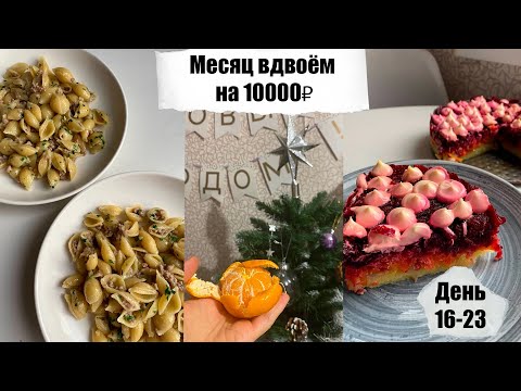 Видео: Месяц вдвоём на 10000₽. День 16 - 23. Простые бюджетные рецепты. Экономное меню.