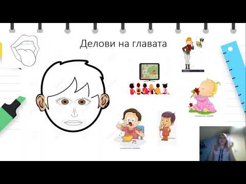 Видео: I одделение - Природни науки - Именување на делови на телото (1)