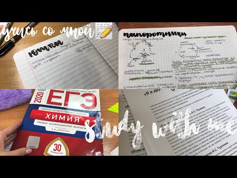 Видео: Study with me📝 первый пробник / учись со мной