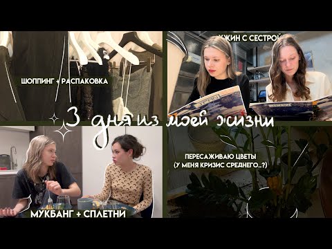 Видео: ОБСУЖДАЕМ МОЙ РОМАН И ДЕЛАЕМ ОБЗОР НА ПОКУПКИ | VLOG