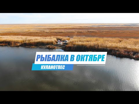 Видео: Рыбалка в Октябре на Куланотпесе. Совместный выезд с @GGGKaiSer