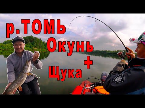 Видео: Река Томь! На рыбалку в одиночку!