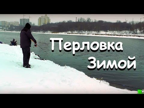 Видео: Ловля плотвы на перловку зимой. Такого я не ожидал