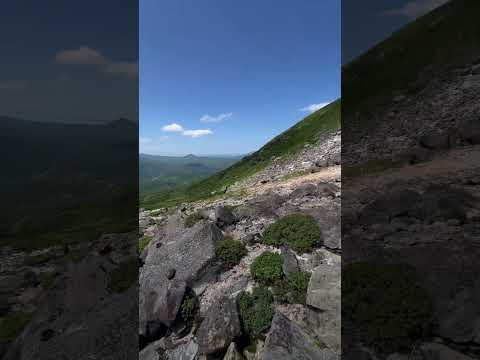 Видео: Кайфы?