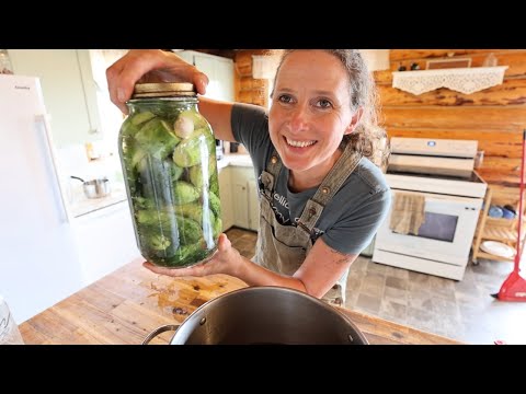 Видео: Я ждал этого! | Лучший соус из цуккини и укропа из холодильника