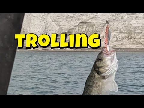 Видео: прибрежный троллинг для ловли окуня