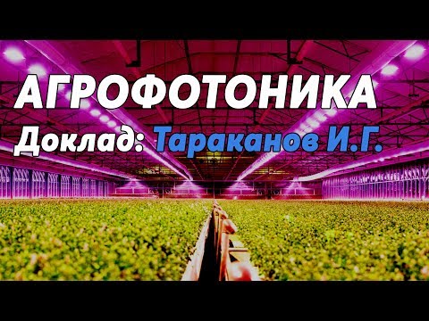 Видео: АГРОФОТОНИКА: Тараканов И.Г. о современных технологиях светокультуры растений и фитолампах.