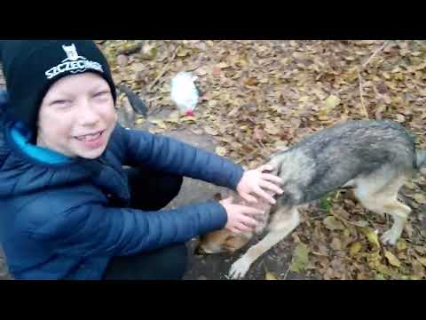 Видео: 37 часть про базу 