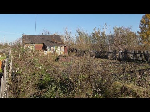 Видео: Купил соседний садовый участок, не знаю, радоваться или печалиться!