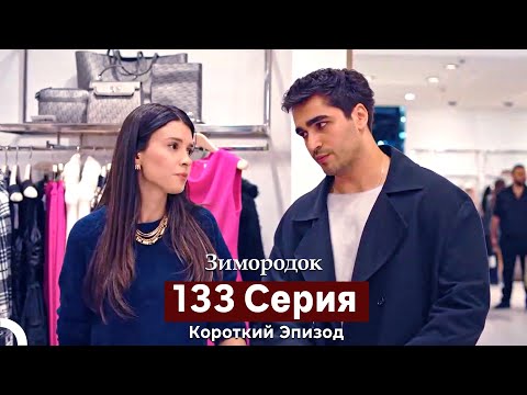Видео: Зимородок 133 Cерия (Короткий Эпизод) (Русский дубляж)