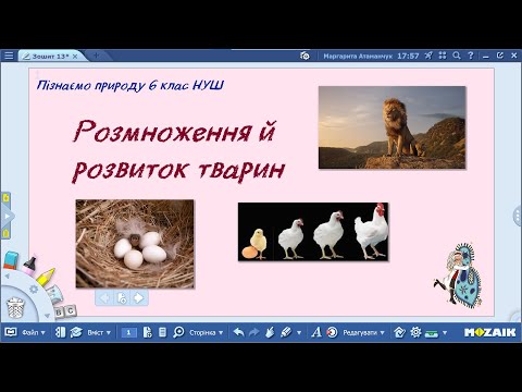 Видео: Пізнаємо природу 6 клас НУШ Розмноження й розвиток тварин