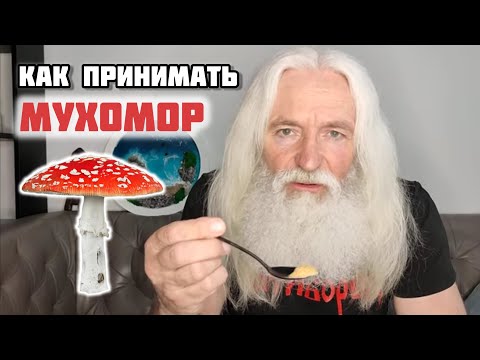 Видео: МУХОМОР. Инструкция по употреблению.