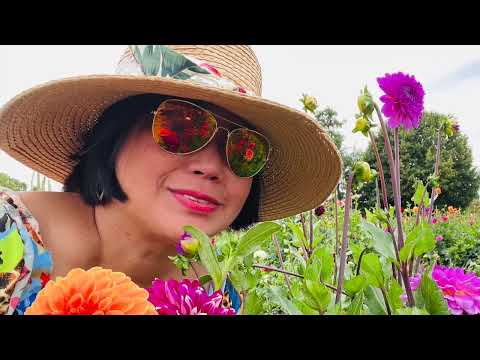 Видео: Германия, конец лета — начало осени 2025 г.