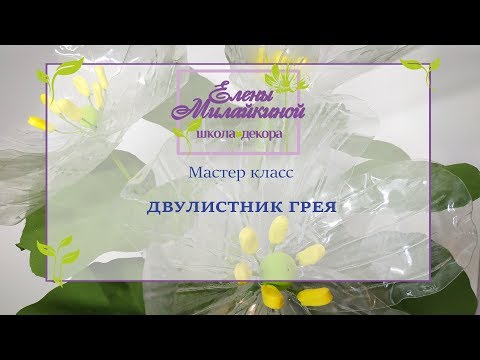 Видео: Мастер класс Двулистник Грея из пластика