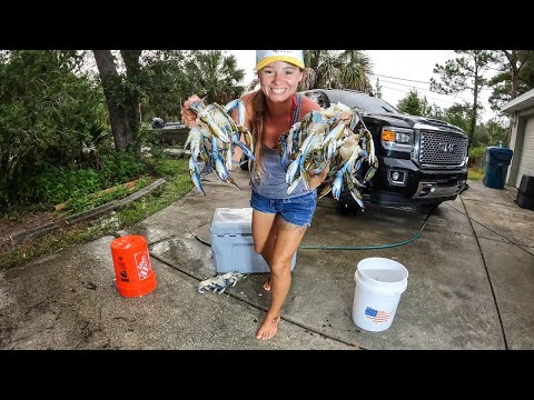 Видео: ФЛОРИДСКИЙ СИНИЙ КРАБ *ПОЙМАТЬ, ЧИСТИТЬ И ПРИГОТОВИТЬ* КАК